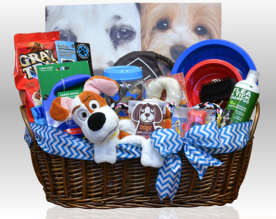 Blog - Image - Puppy spa kit .png